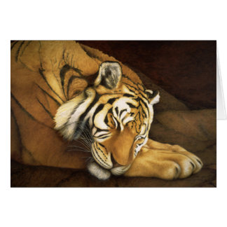 sleeping tiger cards