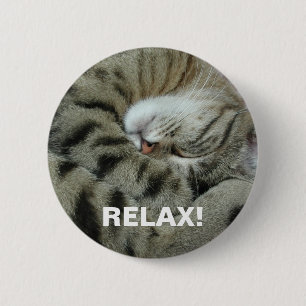Sleeping Tiger-Cat Button