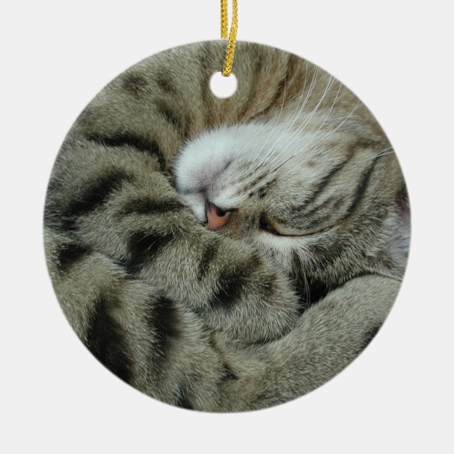 Sleeping Tiger-Cat Ceramic Ornament (Front)