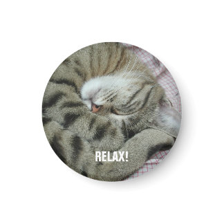 Sleeping Tiger-Cat Magnet