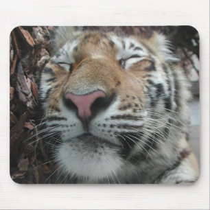 Sleeping Tiger Mouse Pad