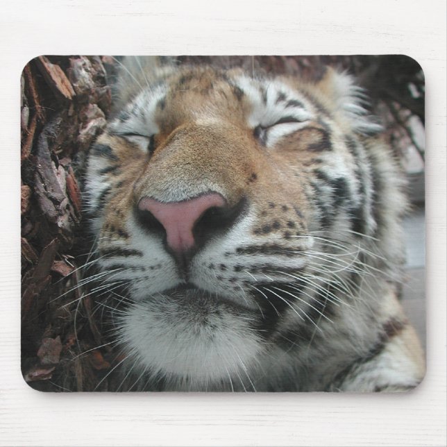 Sleeping Tiger Mouse Pad (Front)