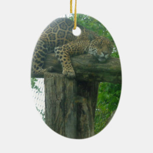 Sleeping Tiger on Tree, Forest, Nature, Wildlife Ceramic Ornament