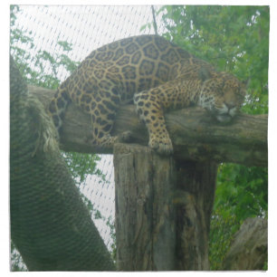 Sleeping Tiger on Tree, Forest, Nature, Wildlife Napkin