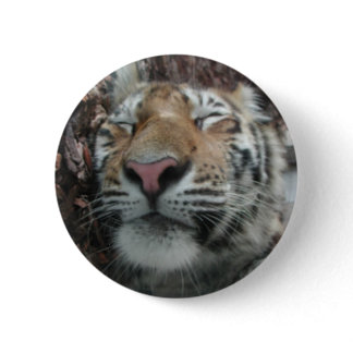 Sleeping Tiger Pinback Button