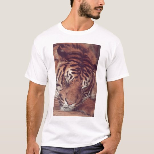 Sleeping Tiger T-Shirt