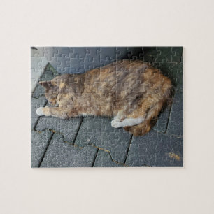 Sleeping tortie jigsaw puzzle