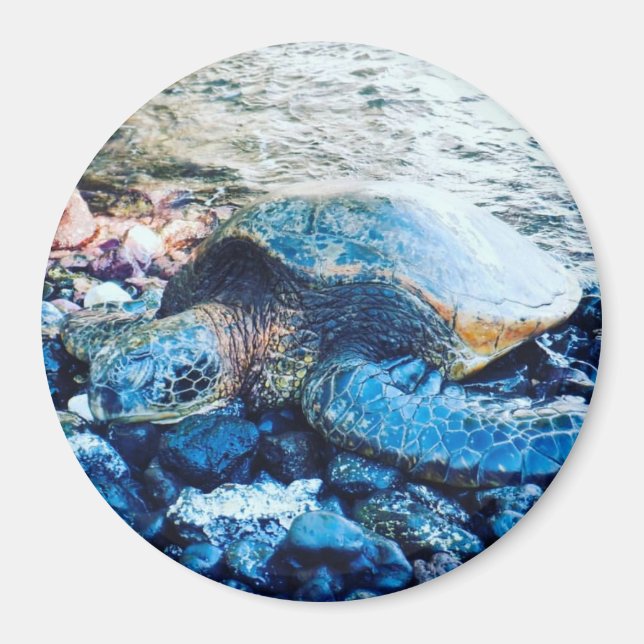 Sleeping Turtle Magnet (Front)