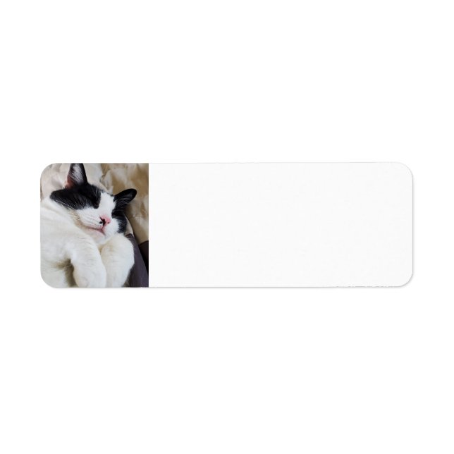 Sleeping Tuxedo Cat Address Labels (Front)