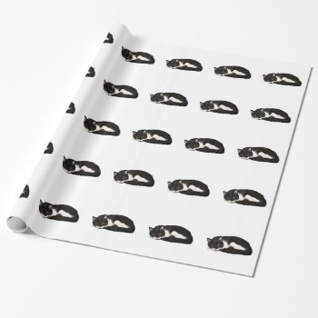 Sleeping Tuxedo Kitty Wrapping Paper by deemac1 at Zazzle