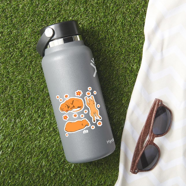 Sleeping Vizslas Stylized Drawings Sticker (HydroFlask Insitu)