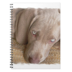 Sleeping Weimaraner Notebook