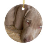 Sleeping Weimeraner Dog Ornament