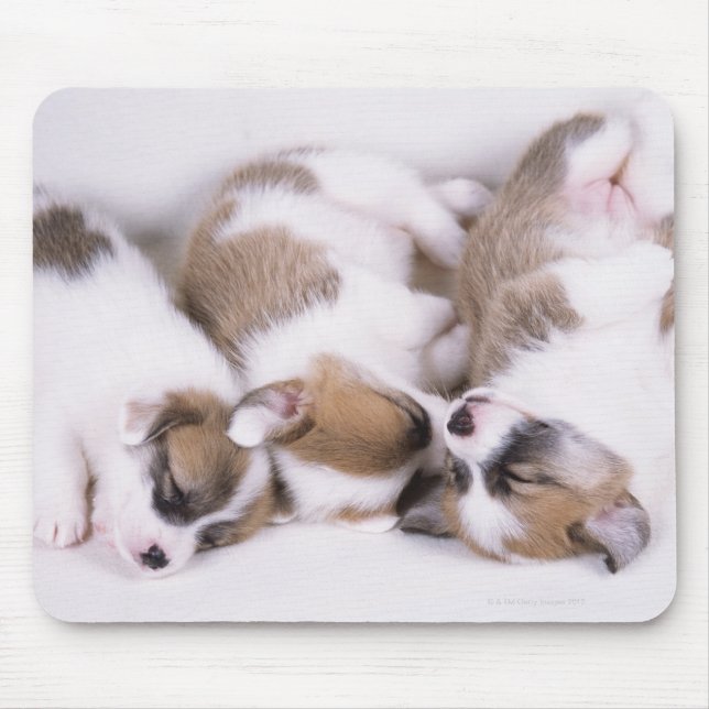 Sleeping welsh corgi puppies mouse pad (Front)