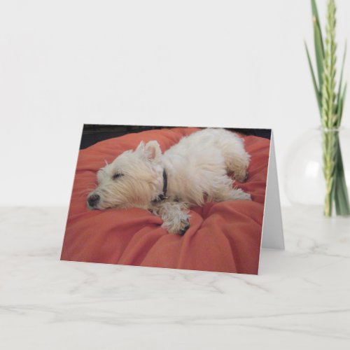 Sleeping Westie Photo Greeting Card