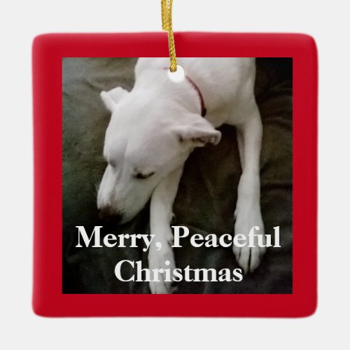 Sleeping White Dog Christmas Ceramic Ornament