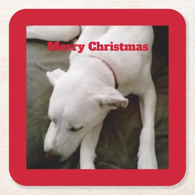 Sleeping White Puppy Dog Christmas Square Paper Coaster (Front)