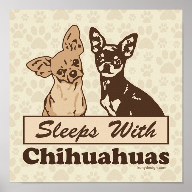 Sleeps With Chihuahuas Dog Poster (Front)