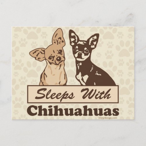 Sleeps With Chihuahuas Postcard