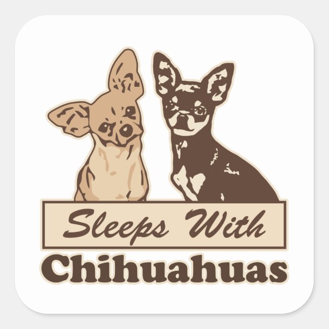 Sleeps With Chihuahuas Square Sticker (Front)