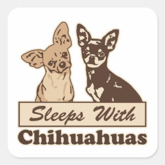 Sleeps With Chihuahuas Square Sticker
