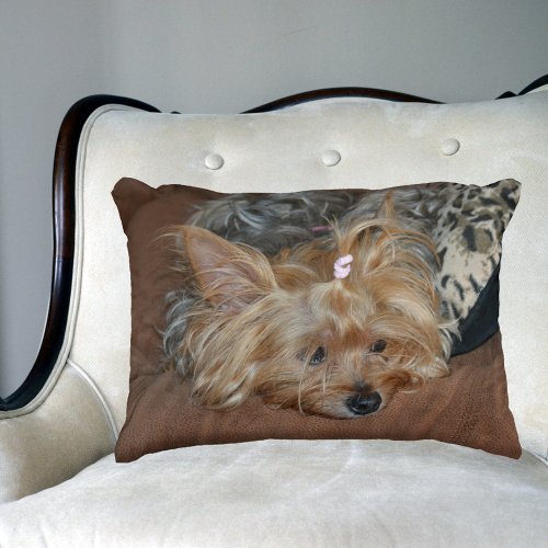 Sleepy Adorable Yorkshire Terrier Puppy Accent Pillow