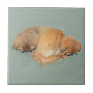 Sleepy Afternoon Tile