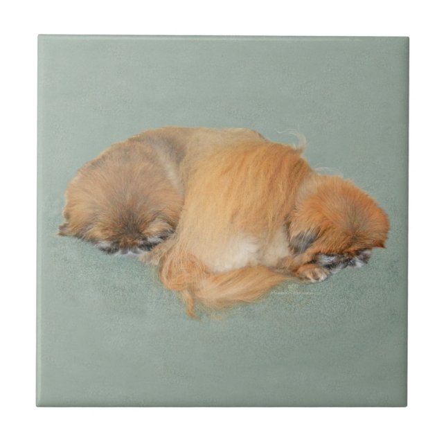 Sleepy Afternoon Tile (Front)