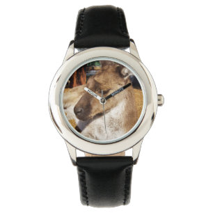 Sleepy Australian Kangaroo, Kids Leather Watch. Watch