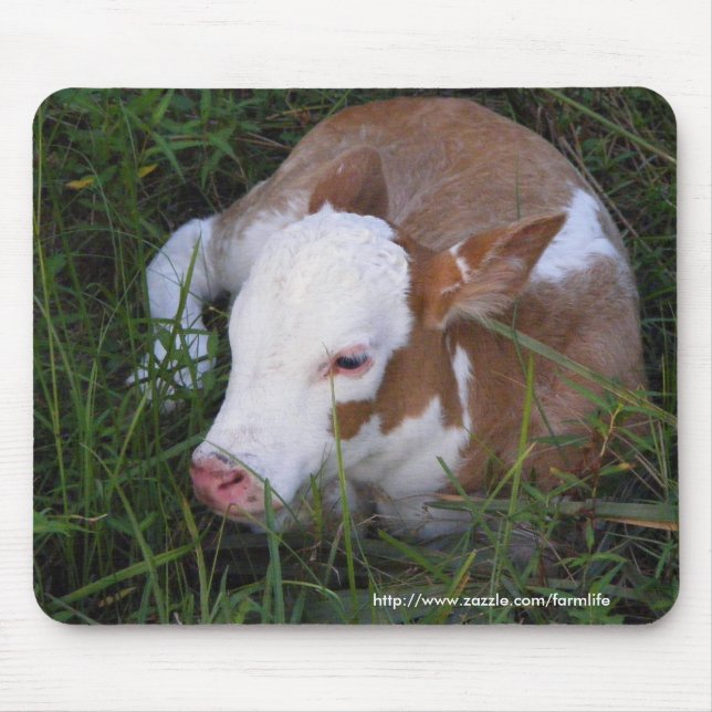 Sleepy Baby calf mousepad (Front)