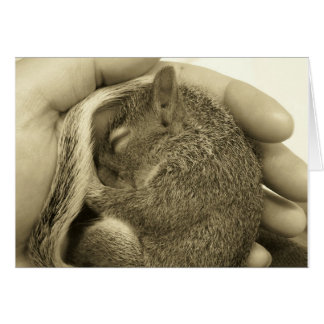 Sleepy Baby Cards