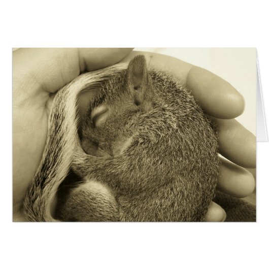 Sleepy Baby Cards (Front Horizontal)