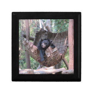 Sleepy Bear Hammock Park Forest Trail Camping Art Gift Box