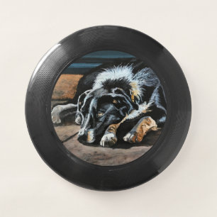 Sleepy Border Collie Wham-O Frisbee
