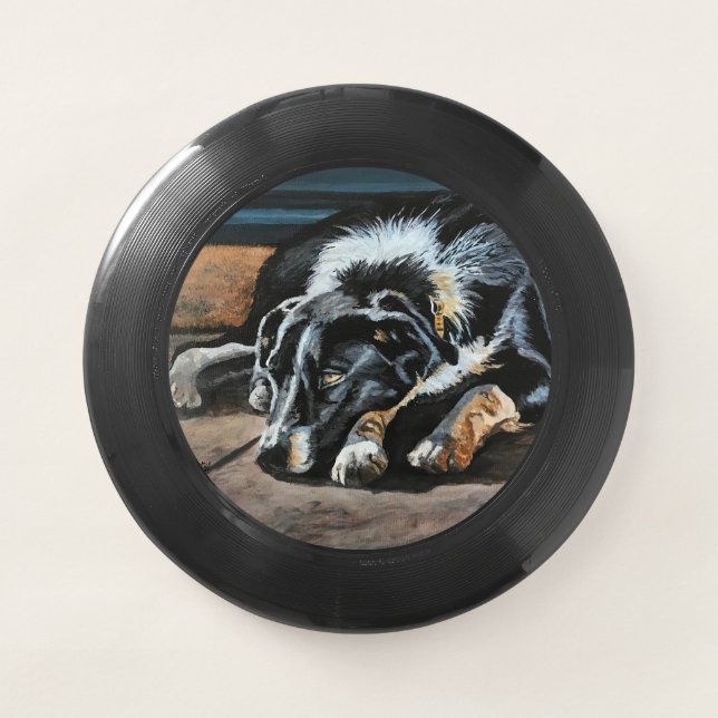 Sleepy Border Collie Wham-O Frisbee (Front)