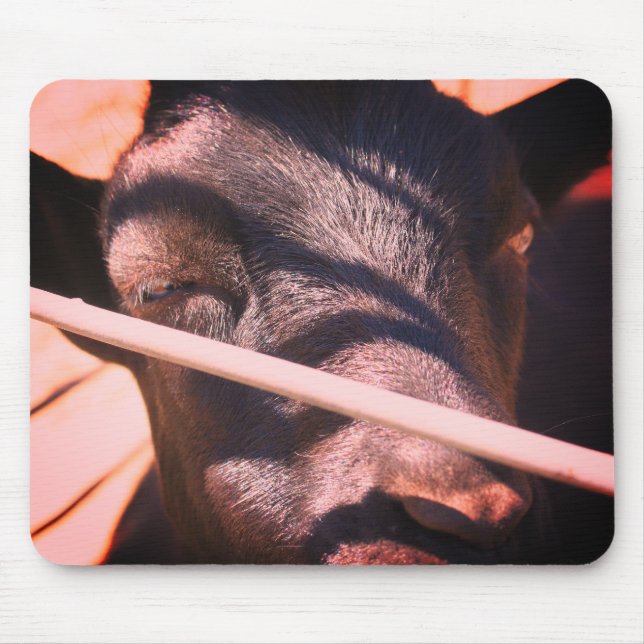 Sleepy Bull Farm Animal Nature  Mouse Pad (Front)