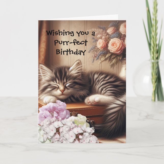 Sleepy Cat Birthday  Card (Front)