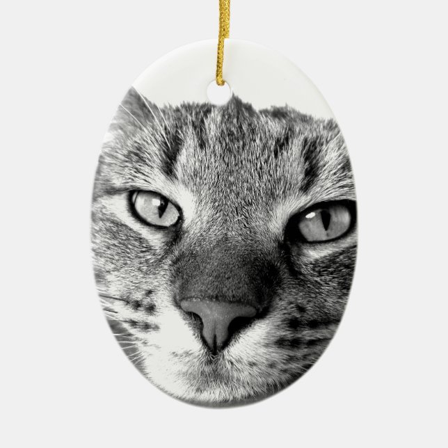 Sleepy Cat Ceramic Ornament (Front)