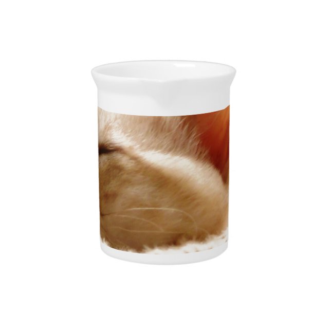 Sleepy Cat Drink Pitcher (Front)