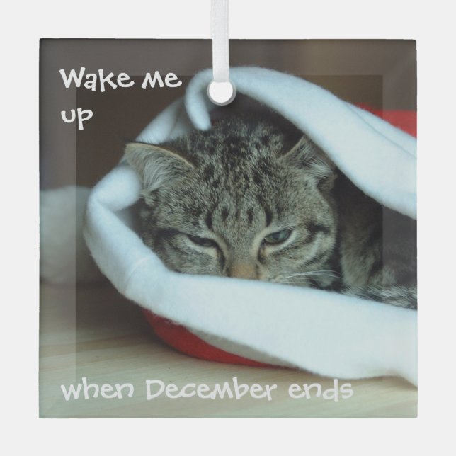Sleepy Cat in Santa Hat Glass Ornament (Front)