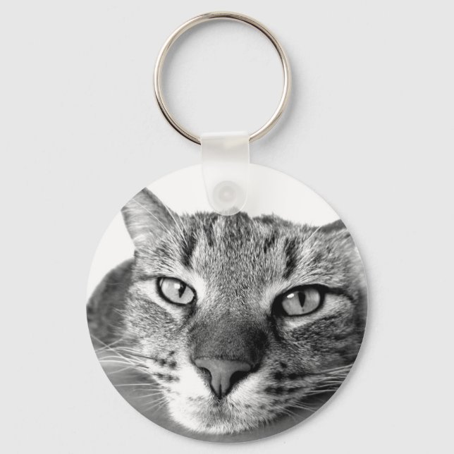 Sleepy Cat Keychain (Front)
