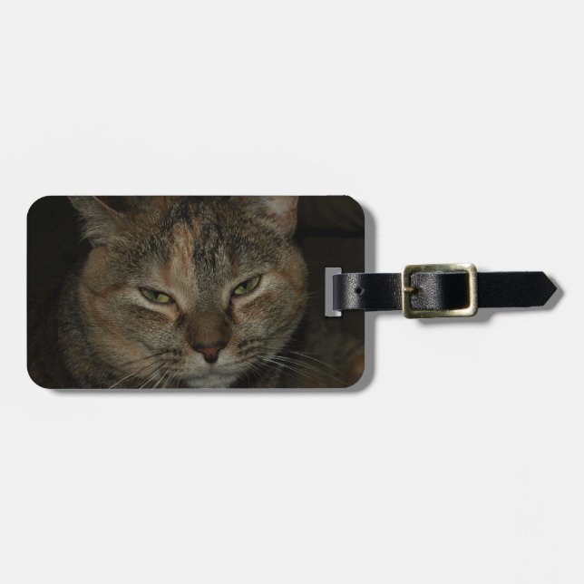 Sleepy Cat Luggage Tag (Front Horizontal)