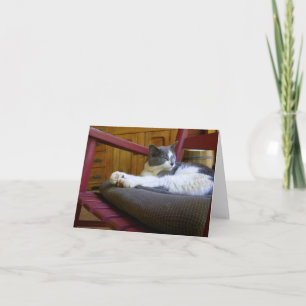 Sleepy Cat Note Card
