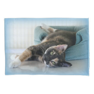 Sleepy Cat on Blue Bed Pillowcase