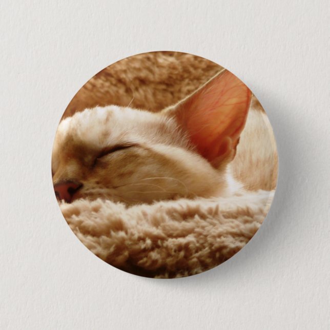 Sleepy Cat Pinback Button (Front)