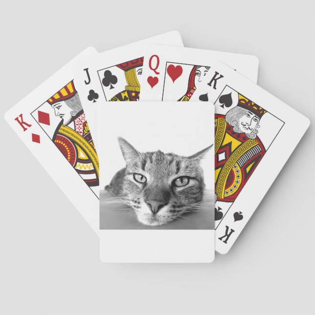 Sleepy Cat Poker Cards (Back)