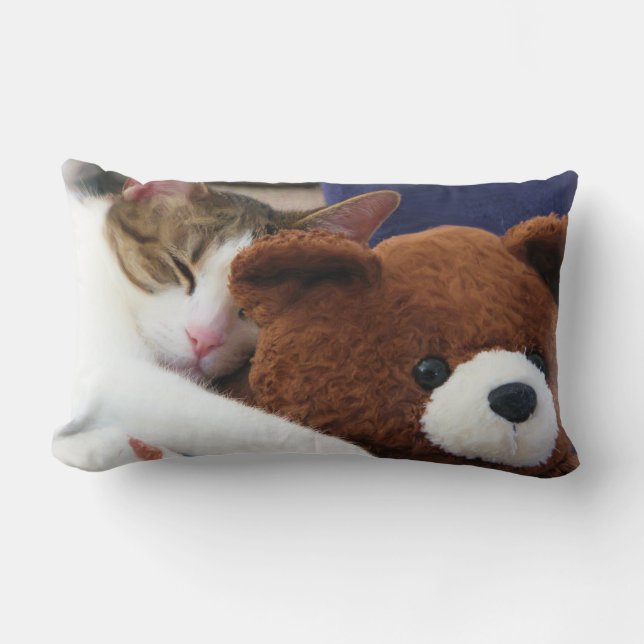 Sleepy Cat Teddy Bear Lumbar Pillow (Front)