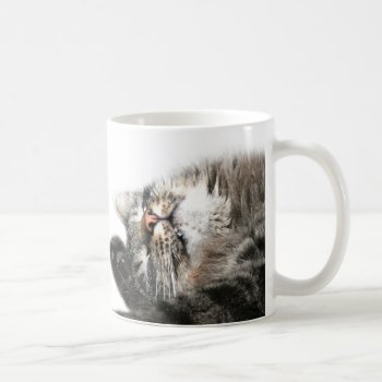 Sleepy Cat Wants Coffee Coffee Mug by deemac1 at Zazzle