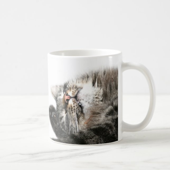 Sleepy cat wants coffee mug (Right)