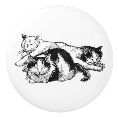 Sleepy Cats  black and white kitties Ceramic Knob